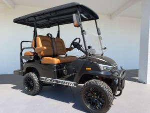 Flat Black Dach Falcon LIthium Golf Cart 01